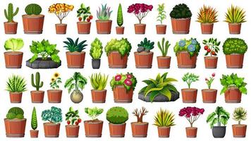 Collectie van potplanten op wit vector