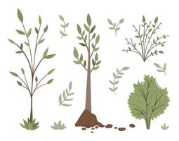 vector set van bomen, planten, struiken, struiken, twijgen geïsoleerd op een witte achtergrond. platte lentetuin illustratie. tuinieren of bos iconen collectie