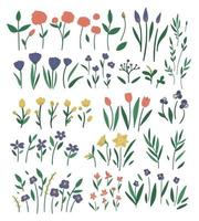 grote vector set van verschillende bloem elementen. tuin decoratieve planten illustratie. collectie van aparte mooie lente en zomer kruiden en bloemen.