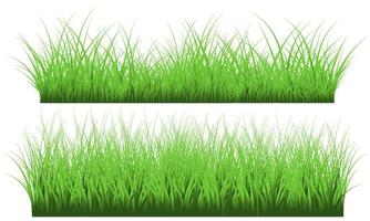 gras gratis vector