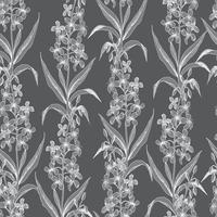 naadloze vector botanische patroon met witte schetsen van harige willowherb plant op grijze achtergrond. bloemen en kruiden. voor textiel, stoffen, hoezen, behang, print, cadeauverpakking