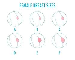 set van ronde lijn iconen van verschillende vrouwelijke borstomvang, zijaanzicht van het lichaam. vector