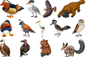 verschillende soorten dieren collectie vector