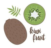 vector kiwi-illustraties. jungle fruit illustratie. hand getekend plat exotische planten geïsoleerd op een witte achtergrond. heldere kinderachtige gezonde tropische zomer voedsel illustratie.