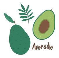 vector avocado-illustraties. jungle fruit illustratie. hand getekend plat exotische planten geïsoleerd op een witte achtergrond. heldere kinderachtige gezonde tropische zomer voedsel illustratie.