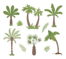 vector tropische palmbomen illustraties. jungle gebladerte illustratie. hand getekend plat exotische planten geïsoleerd op een witte achtergrond. heldere kinderachtige zomer groen illustratie.