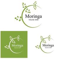 moringa blad logo illustratie vector ontwerp