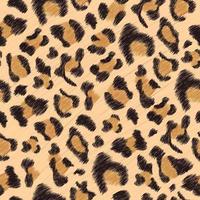 met de hand getekend naadloos patroon van luipaardvel, detailhuid van luipaard, realistisch luipaardpatroon vector