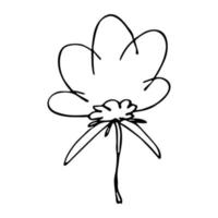 vector eenvoudige bloem doodle clipart. hand getekende bloemen illustratie geïsoleerd op een witte achtergrond. voor print, web, ontwerp, decor, logo.