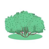 vector tuin bush geïsoleerde struik haag. groene struik cartoon gras struikgewas plant.