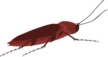 kakkerlakken insecten zijaanzicht illustratie vector