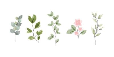 een set aquarelelementen - wilde bloemen, kruiden, bladeren. een verzameling van tuin en wilde, boskruiden, bloemen, takken. illustratie gemarkeerd op een witte achtergrond. botanisch