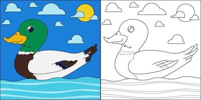 wilde eend zwemmen geschikt voor kinderen kleurplaten pagina vectorillustratie vector
