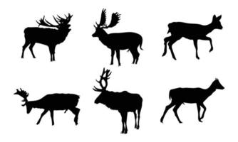 collectie van grafische zwarte silhouetten van wilde herten mannelijk, vrouwelijk en reeën. vector