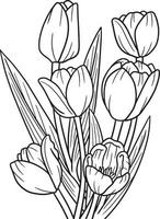 tulpenbloem kleurplaat voor volwassenen vector