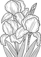 irissen bloem kleurplaat voor volwassenen vector