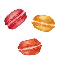 macaroon, aquarel element op een witte achtergrond. vector