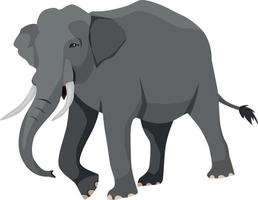 olifant die op witte achtergrond loopt vector