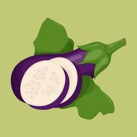 hele aubergine geïsoleerd op de achtergrond. platte vectorillustratie vector