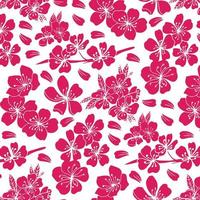 roze bloemen van sakura naadloze patroon op een witte achtergrond. vector