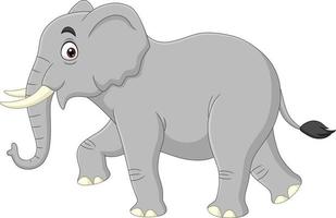 cartoon olifant geïsoleerd op witte achtergrond