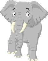 cartoon olifant geïsoleerd op witte achtergrond vector
