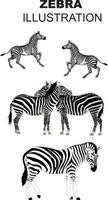 zebra illustratie ontwerp vector