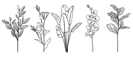 vector set exotische bladeren en bloemen in één lijn getekend. doodle tropische bloemen illustratie. enkele lijn handpalmen set.