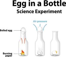 wetenschappelijk experiment om thuis te doen met ei in een fles vector