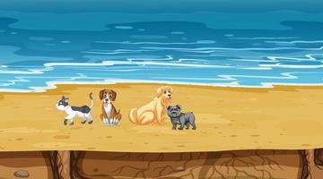 set van verschillende huisdieren op het strand vector