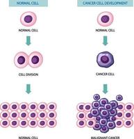 proces van ontwikkeling van kankercellen vector