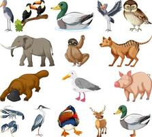 verschillende soorten dieren collectie vector