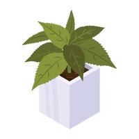 huisdecoratie, een isometrisch icoon van plant vector
