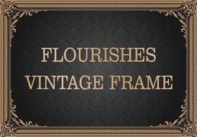 decoratief vintage frame vector