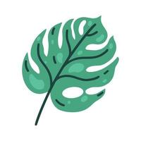 monstera deliciosa blad vector pictogram. groene tropische plant met vlekken, aderen. platte cartoon clipart, eenvoudige illustratie geïsoleerd op een witte achtergrond. botanisch element voor decoratie, ontwerp