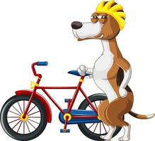 een beagle die op twee benen naast een fiets staat vector