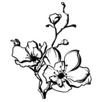 tak van bloeiende sakura bloemen doodle zwart, vector