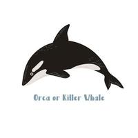 vectororka of orka. cartoon afbeelding op witte achtergrond voor sticker, ontwerp vector