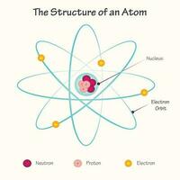 de structuur van een atoom vector
