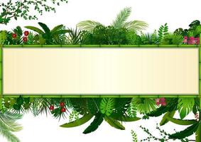 tropische bladeren achtergrond. rechthoek planten frame bamboe met ruimte voor tekst. tropisch gebladerte met horizontale banner vector