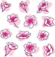 Sakura bloemen doodle illustratie pack vector