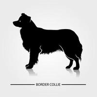 border collie hond vector silhouet. zwarte silhouetten van hondenrassen.