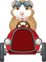 cavia rijdende auto speelgoed cartoon vector