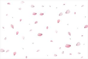 sakura-bloemblaadjes. kersen bloemblaadjes achtergrond vector