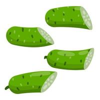 komkommer. plakje groene verse groente vector