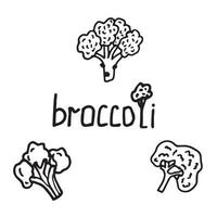 set broccoli in doodle-stijl vector