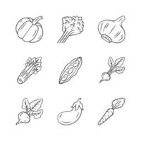 groenten lineaire pictogrammen instellen. pompoen, biet, maïs, tomaat, peper. vitamine en voeding. gezonde voeding. dunne lijn contour symbolen. geïsoleerde vectoroverzichtsillustraties. bewerkbare streek vector