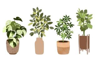 set van vier tropische kamerplanten in potten vector