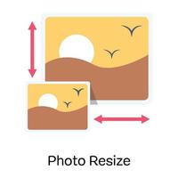 pak dit geweldige platte pictogram van het formaat van foto's vector