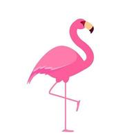 schattige roze flamingo. vector illustratie